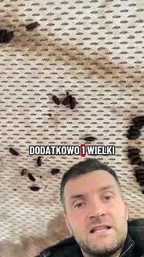 Sprzątnie po zgonie #cleaningpro #podcast #czyściciel