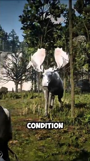 Three Massive Animals you can hunt in Red Dead Redemption 2