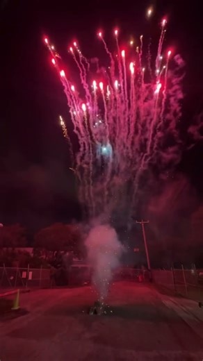 Cherry bomb 200 gram cake by mc fireworks #fireworks #cakefireworks #pyro #pyronation