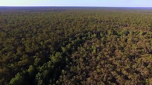 8.4K views · 590 reactions | Thanks to you, Australia Zoo Wildlife...