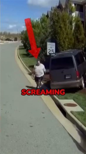 Reckless Karen Pulls Ridiculous Insurance Scam Attempt! 😨🤦‍♂️
