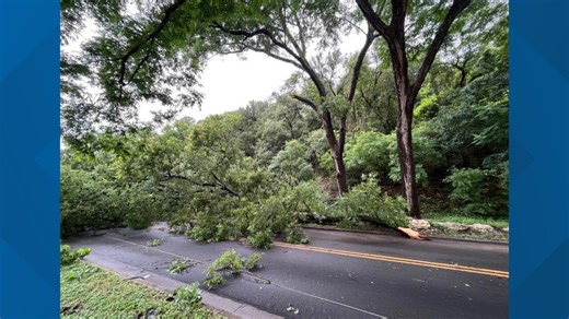 Waco faces downed trees, road closures after heavy rain
