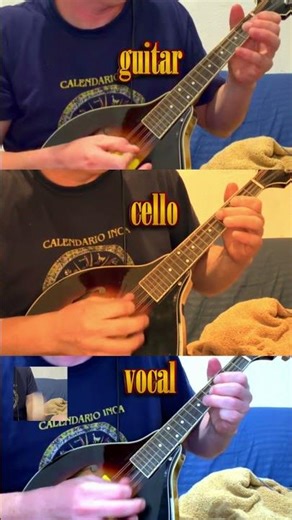 Nirvana - "Dumb" mandolin version