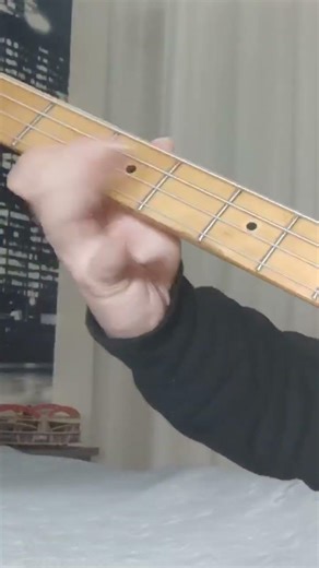 Red Hot Chili Peppers- Funky Monks (Bass Cover) #bass #rhcp #music