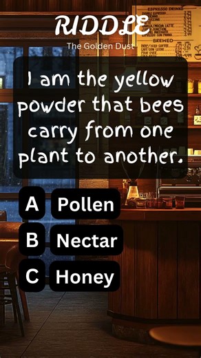 🔥What am I? #riddles