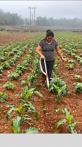 6.3K views · 44 reactions | Voici comment cette machine agricole moderne va aider les agriculteurs 珞 Rendez-vous dans notre magasin à Lomé au Togo  pour les obtenir. Livraison partout au Togo et au Bénin #agriculture #lome #machineagricole #Togo #benin #togolais228 | AgroSpace Group | Facebook