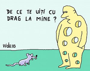 fusta 48. de ce iubirea și relația cu El/Ea sunt două lucruri diferite