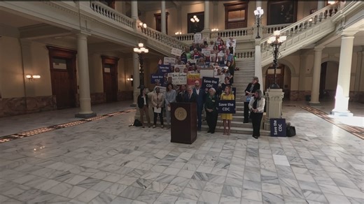 CDC expats sound off at Georgia Capitol hearing