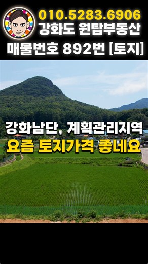 [892] 가격 참 좋은 알짜배기 토지 392평(평당60만) #강화도토지 #강화도부동산 #강화도체류형쉼터