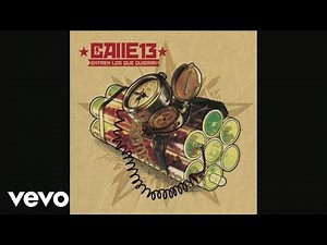 Calle 13 - Digo Lo Que Pienso (Audio)
