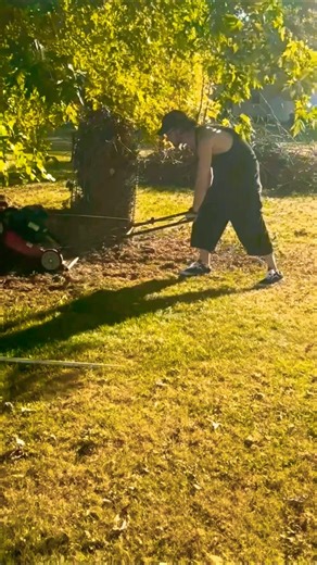 Mulching Up All The Leafs, Old Grass Clippings And Sticks 😁🍁 #mowing #mulching #sunny #lawnmower