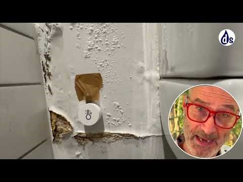 🎵 Why Your Bathroom Paint Bubbles: The Hidden Science of Relative Humidity Explained