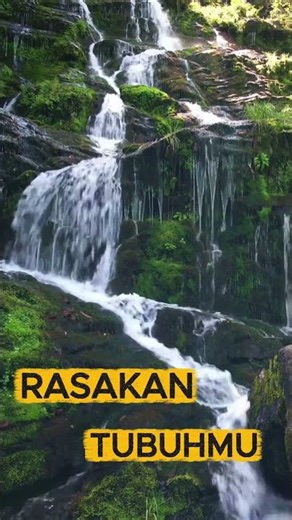 Understanding Emotions & How to Calm Them