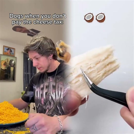 Either pay the cheese tax or the consequences 🥲