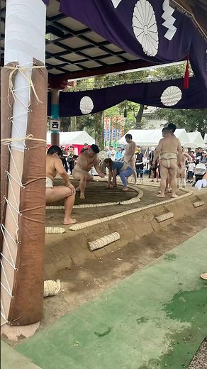 府中・大國魂神社 八朔相撲祭｜一般の部の土俵アップ！女子相撲も登場