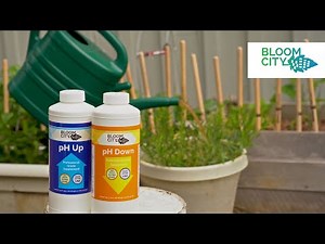 Bloom City | pH Up + pH Down Kit | Professional Grade