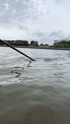 3.2K views · 162 reactions | Hippo time | Preston Innovations | Facebook