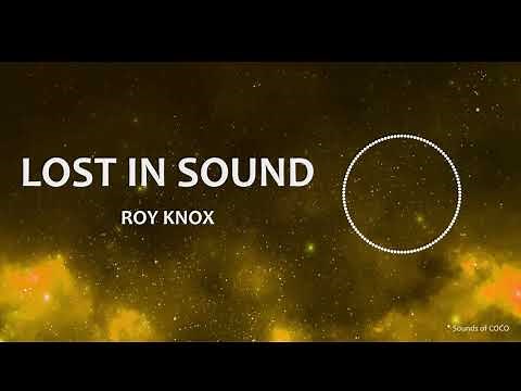 ROY KNOX - Lost In Sound (LYRICS) (No Copyrights)