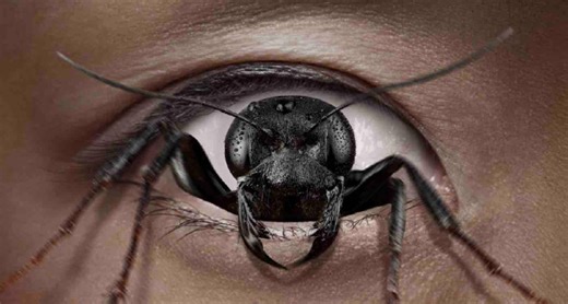 Movie Review – Control Freak (2025)