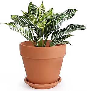 INGOFIN Terracotta Pot with Saucer - 10 Inch Ceramic Clay Pot for Plants with Drainage Hole, Large Terra Cotta Flower Planter with Tray for Indoor Outdoor Plants