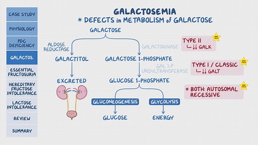 Video: Disorders of carbohydrate metabolism: Pathology review - Video Explanation! | Osmosis | Osmosis