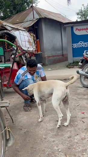 prunk with a dog #comady #funny #comedyreels #funnyreels #doglover | Sonjoy0006