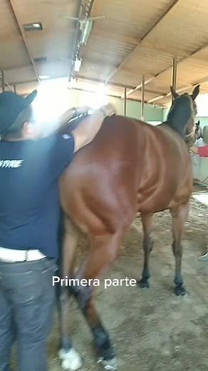 Colocación de Pleurovac: Guía Paso a Paso