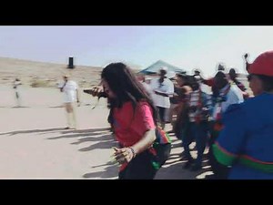 Female Donkey i'm so Hage