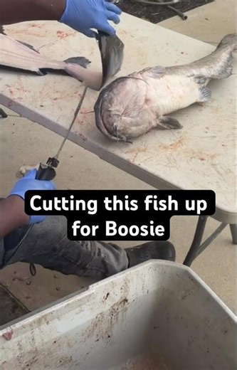 Boosie's fish cleaning technique is insane #fishing #viral