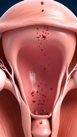 How Menstruation Happens🩸Period Flow Explained #shorts #miracleinmotion #pregnant #baby