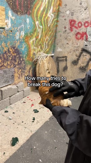 Chaos Factory on TikTok