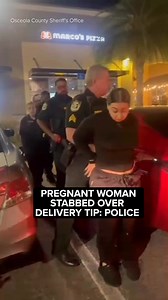 A pizza deliverer in central Florida has been charged with pushing her way into a motel room with an accomplice and stabbing a pregnant woman after a dispute over a tip, authorities said. https://abc7ny.com/post/pizza-deliverer-brianna-alvelo-charged-stabbing-pregnant-woman-kissimmee-florida-motel-after-tip-dispute-authorities-say/15711376/ | ABC7NY