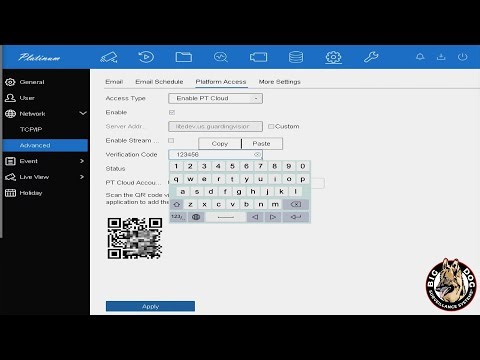 Big Dog DVR Remote Access via PT Cloud