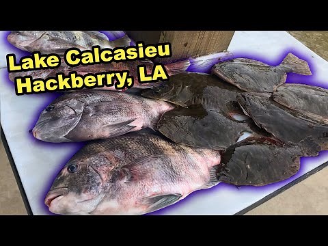 Flounder & Sheepshead Catch Clean Cook! (Fishing Lake Calcasieu in Hackberry Louisiana)