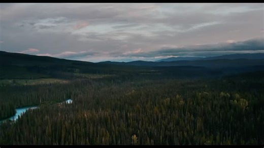 @radical.sw on Instagram: "OFFICIAL TRAILER: YINTAH, meaning “land”, is a feature-length documentary on the Wet’suwet’en nation’s fight for sovereignty. @yintah.film — Yintah is a must-see documentary that exposes the deep hypocrisy of the Canadian government’s reconciliation rhetoric while advancing laws and policies that continue to harm the land, Indigenous peoples and migrant communities. Grounded in Wet’suwet’en resistance, the film lays bare how state power, corporate interests, and the Cr