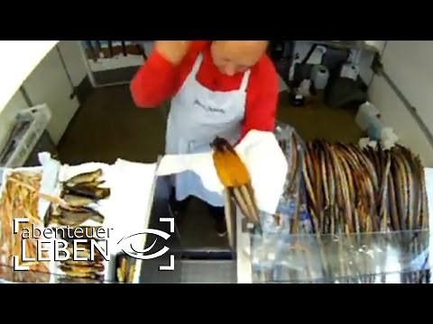 Hamburger Fischmarkt im Zeitraffer | Abenteuer Leben