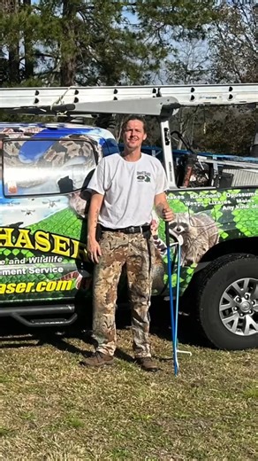 Your trusted professional wildlife removal team! 🙌 (843) 902-5706 www.thesnakechaser.com | The Snake Chaser