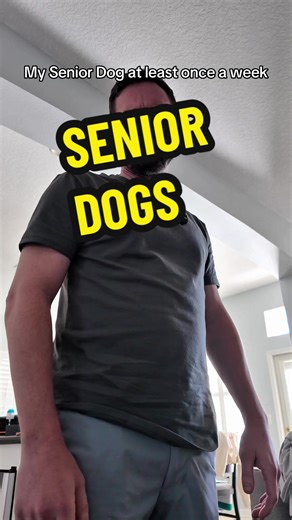 Like a human old man, he is grumpy and is well past following the rules anymore #dadsoftiktok #seniordog #funnyvideos