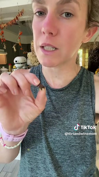 Delicious Cowboy Candy Recipe: Canning Candied Jalapenos