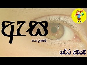 Human Eye parts | minis esaka | ඇස ගැන දැනගමු sinhala LK