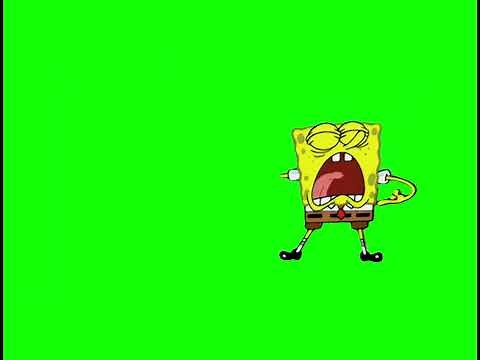 SpongeBob SquarePants saying "EVERYONE, GET OUT!" meme - Green Screen