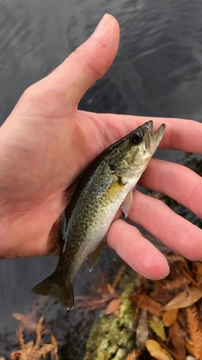 Funny Fishing Fail | Hilarious Fishing Prank Gone Wrong!