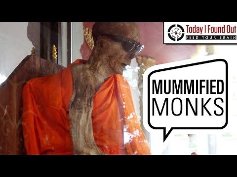 The Curious Case of Self Mummification