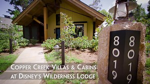 1K reactions · 63 shares | With Disney Vacation Club, you can escape to magical vacation destinations year after year and experience accommodations as unique as you are. | Disney Vacation Club | Facebook