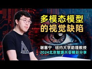 【人工智能】大语言模型需要更好的视觉基础来理解含义 | 谢赛宁 | DiT作者 | 多模态语言模型的视觉缺陷 | 基于视觉搜索引导的多模态大模型 | GPT-4V | CLIP | SEAL