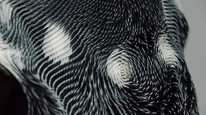 45 reactions | Architect turned wearable tech designer, Behnaz...