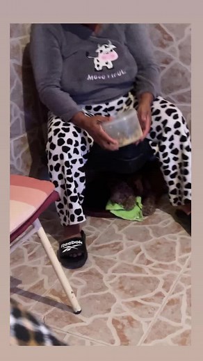 Bely&omma (@belyxanaia)’s videos with som original - Bely&omma