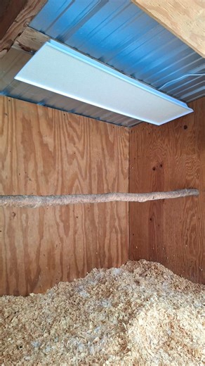 Mounted Chicken 🐔 Coop Heater ‪@theChickenCoopCompany‬