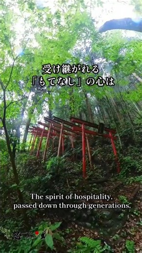 🍵✨【新装・お茶室の誕生】✨🍵 #古民家 #茶室 #茶道 #short