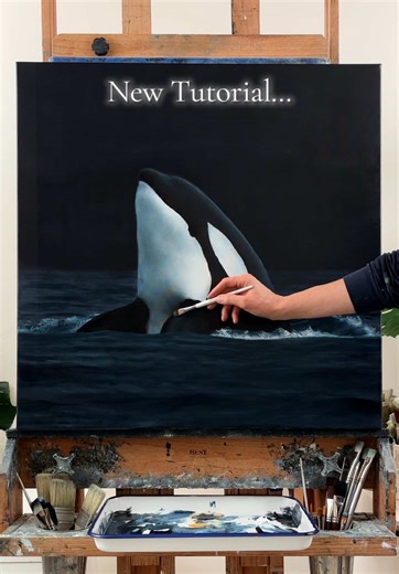 My 3 hour Orca Oil Painting Tutorial is finally here. There is something so powerful about slowly bringing this beautiful creature to life on canvas. In this class, I walk beside you step by step, sharing my signature approach with a thoughtfully limited palette and a small collection of essential brushes. It is created for every skill level, whether you are just beginning or finding your way back to the easel. When you join, you receive lifetime access to this class, just like every other class
